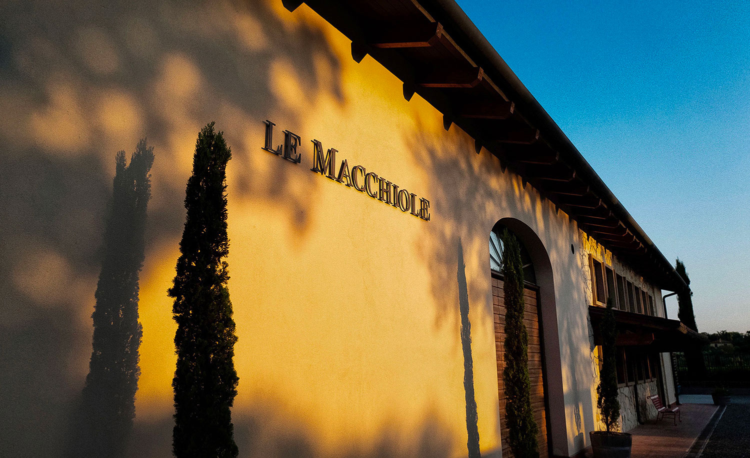 Le Macchiole - Visit