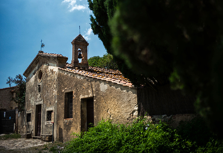 Le Macchiole - Territorio