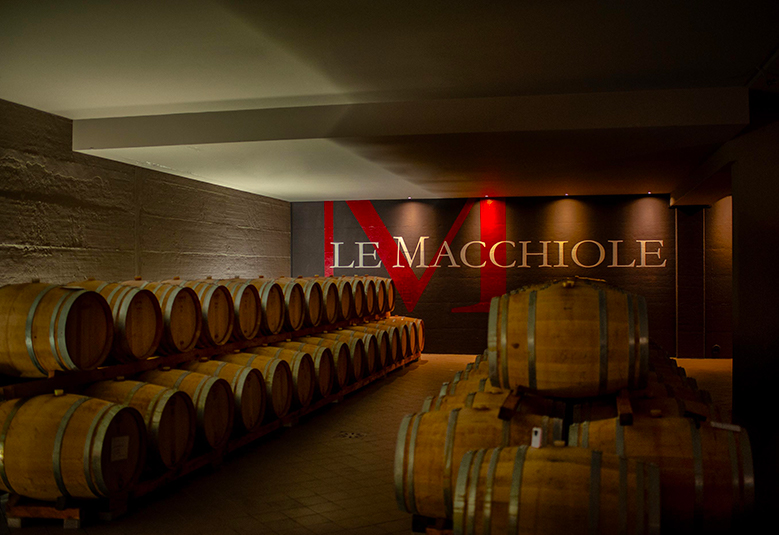 Le Macchiole - Visit